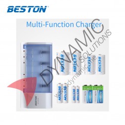 Beston Universal Charger For AA/AAA/C/D/9V -C821BW